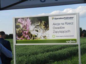 Powered by TCPDF (www.tcpdf.org) https://www. W Szelejewie promowano również akcję wspierającą pomoc owadom zapylającym.