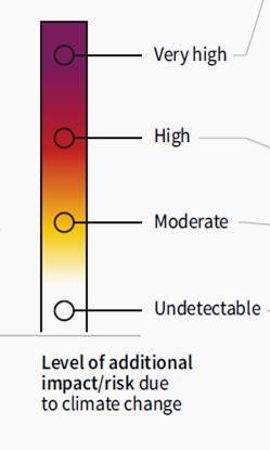 (IPCC