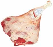 kolanowego tylnej nogi), kości stępu (wyłączając guz piętowy) oraz grupę mięśni prostowników anatomicznie wzdłuż spojenia, pozostawiając M.
