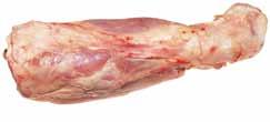 biceps brachii oraz grzbietowego końca kości ramieniowej, tak by uwzględniano kość promieniową i łokciową wraz z przylegającymi