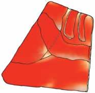 cutaneus trunci 66 M. rectus femoris 87 M. tensor fasciae latae 98 M. vastus intermedius 99 M. vastus lateralis 100 M.