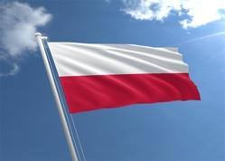 Szacunki dotyczące polskiego rynku mówią o 600 milionach euro.