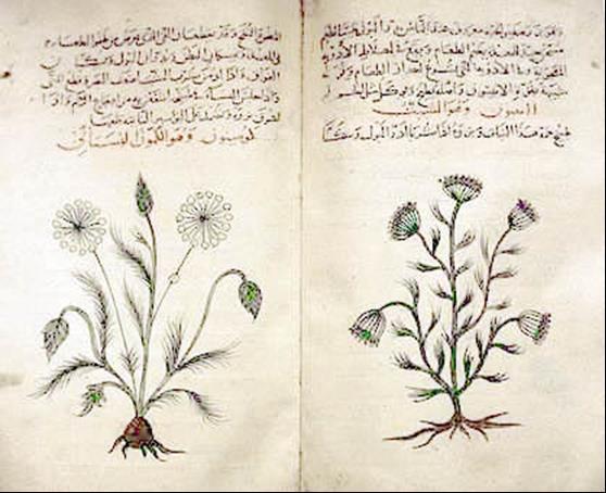 De materia medica Dioskurydesa z I wieku, opisuje ponad 1000 przepisów na lekarstwa z wykorzystaniem ponad 600 roślin.