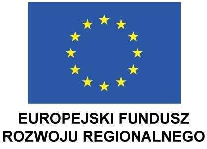 Załącznik do Protokołu z przebiegu oceny merytorycznej ZASADY OCENY WNIOSKÓW (INTERPRETACJA KRYTERIÓW WYBORU PROJEKTÓW) 1 OŚ PRIORYTETOWA 2.