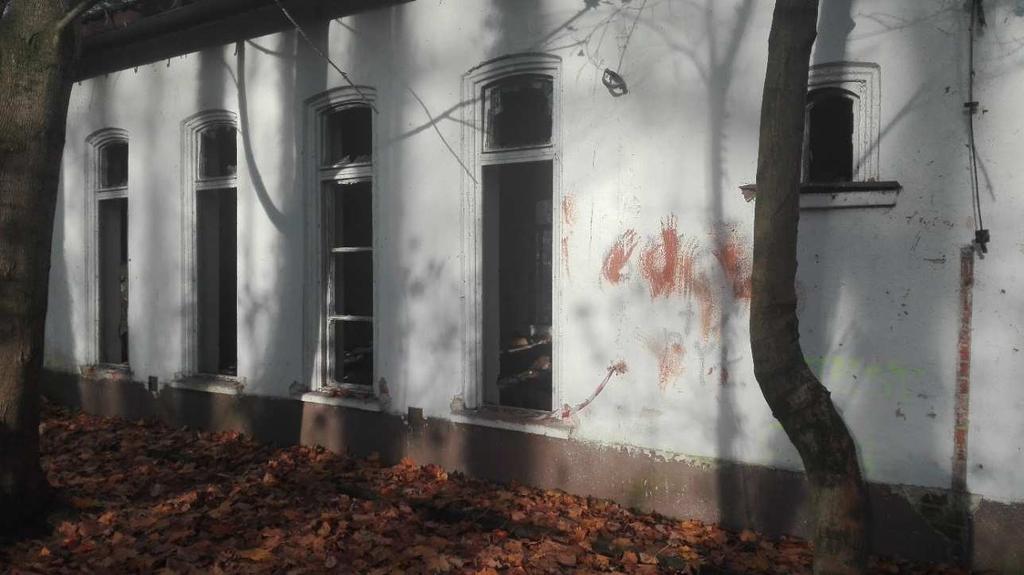 Zdjęcie 21.