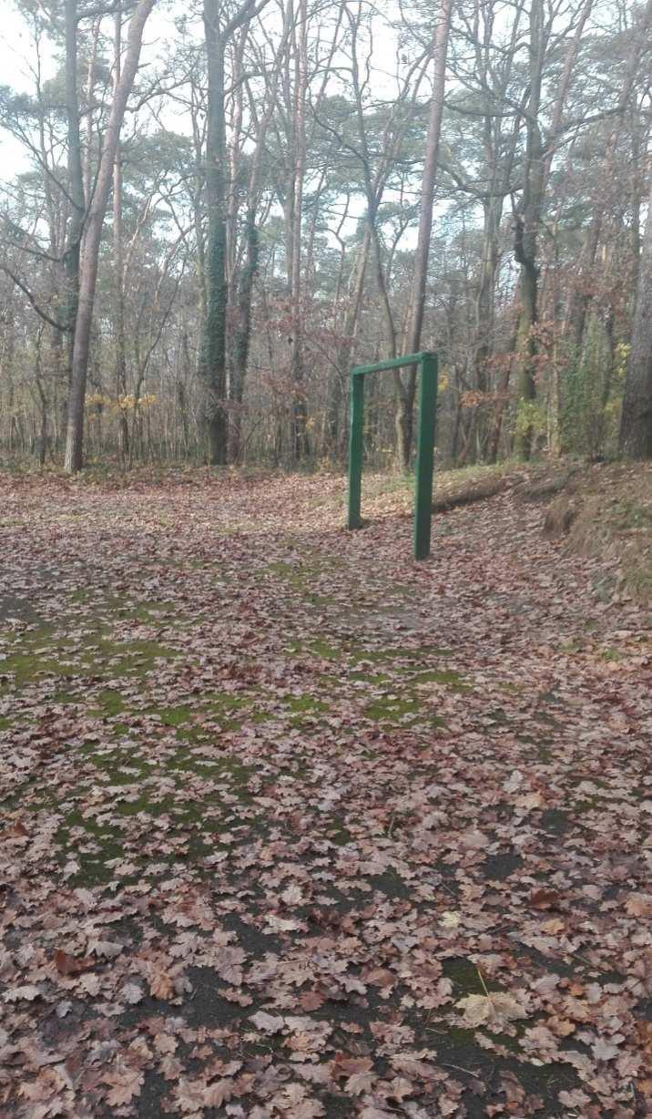 Zdjęcie 23.