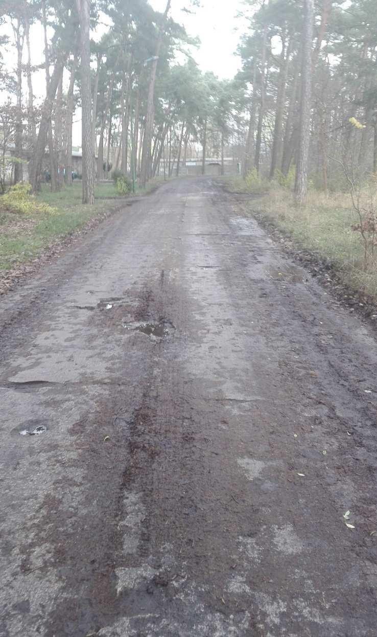 Zdjęcie 24.
