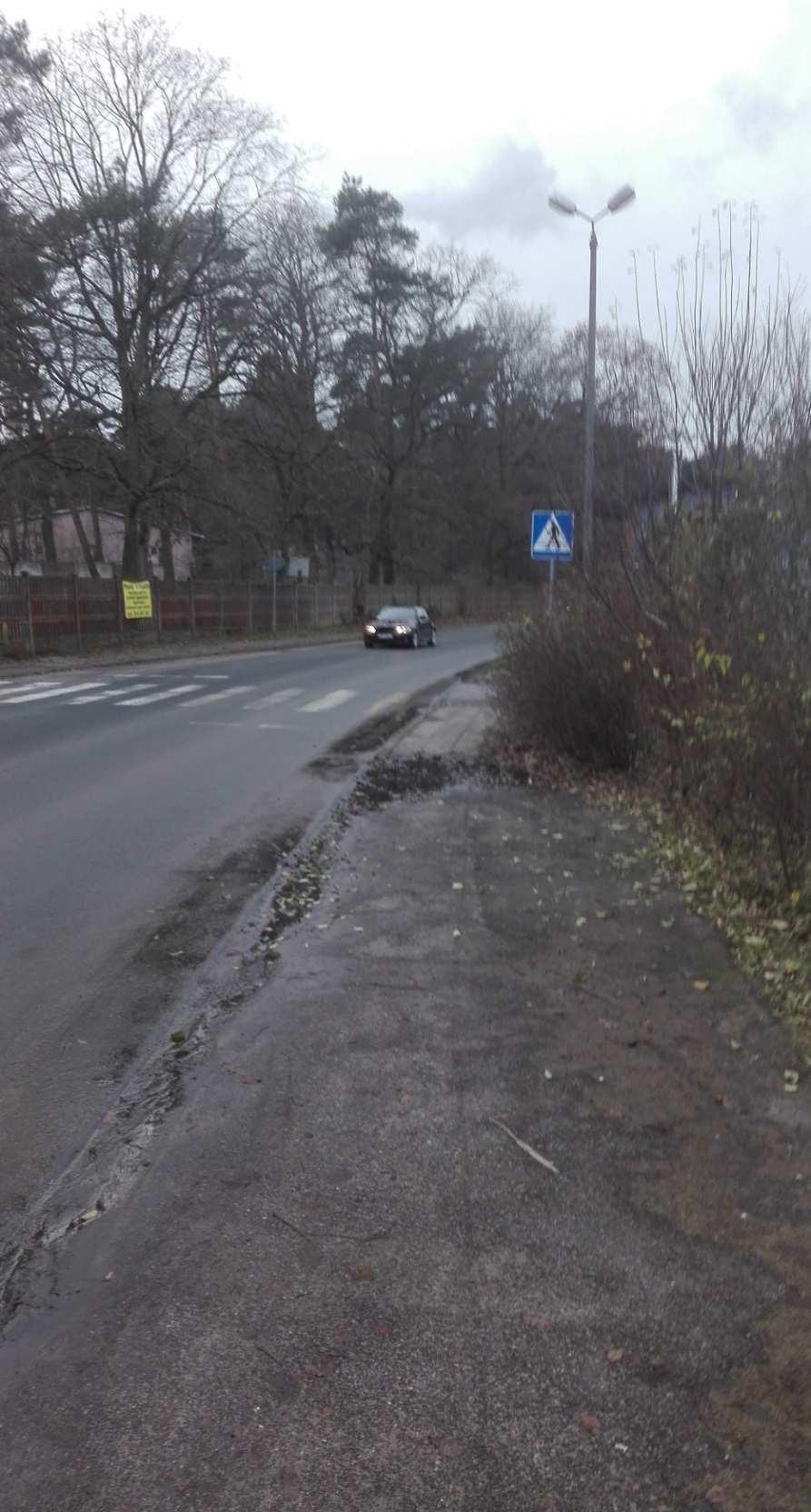 Zdjęcie 28.