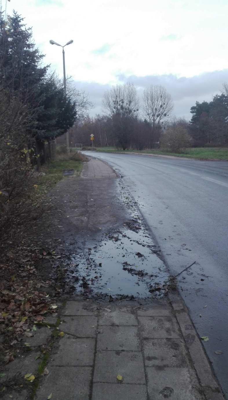 którego korzystają również dzieci ze Szkoły Specjalnej Zdjęcie 29.