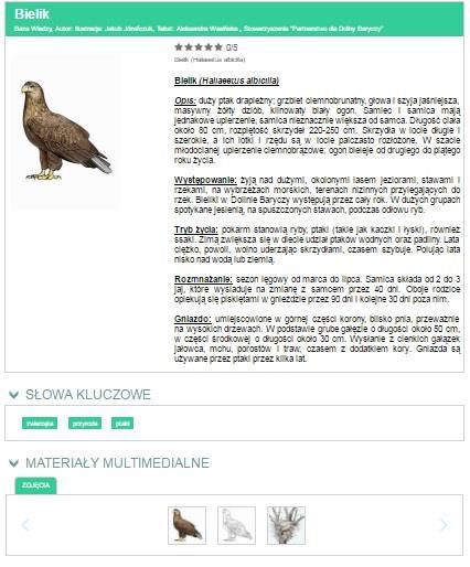 PROMOCJA OFERTY