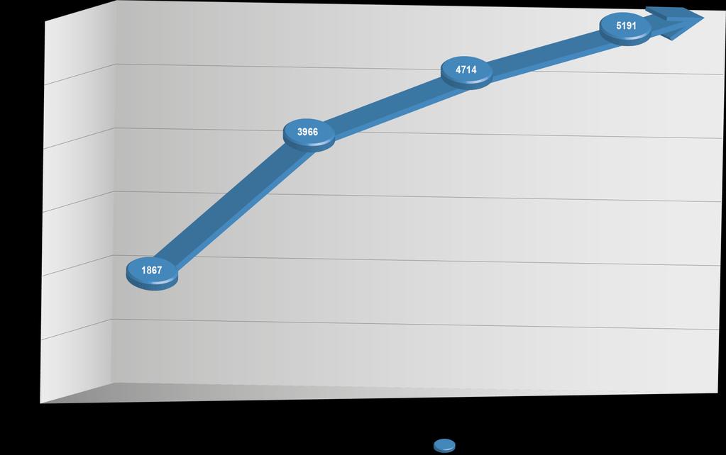 REALIZACJA PROGRAMU 2017/2018