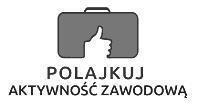 2 Wspieranie osób młodych pozostających bez pracy na regionalnym rynku pracy, Poddziałanie 1.2.1. Wsparcie udzielane z Europejskiego Funduszu Społecznego. 2.