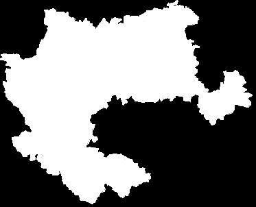 zawodów