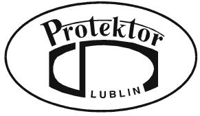 Grupa Kapitałowa Protektor Skrócone skonsolidowane sprawozdanie finansowe Grupy Kapitałowej Protektor rozszerzone o skrócone sprawozdanie