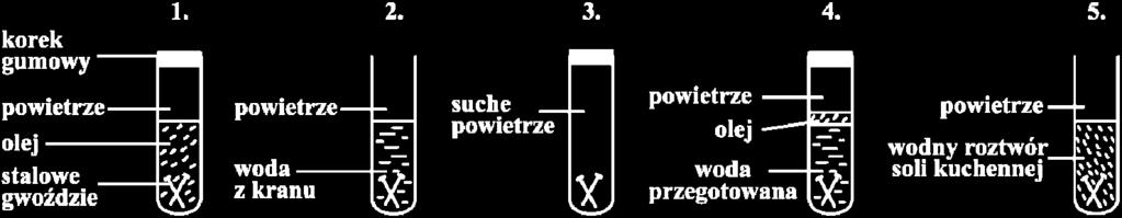 Zaznacz T (tak), jeśli uzasadnienie jest trafne, lub N (nie) jeśli jest nietrafne w odniesieniu do wykonanego eksperymentu. Jacek wlał do probówki 4.