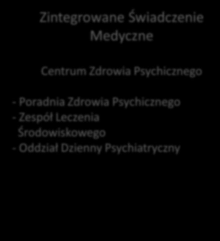 Społecznego Środowiskowy Dom Samopomocy A Plus - Środowiskowy Dom Samopomocy - Specjalistyczne Usługi Opiekuńcze - Klub Samopomocy - Mieszkanie Chronione - Działania Profilaktyczno Edukacyjne Model