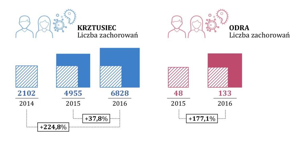 08 Wzrost zachorowań na choroby zakaźne Krztusiec (potocznie nazywany kokluszem) jest to ostra choroba zakaźna układu oddechowego, charakteryzująca się nawracającym ciężkimi napadami kaszlu.