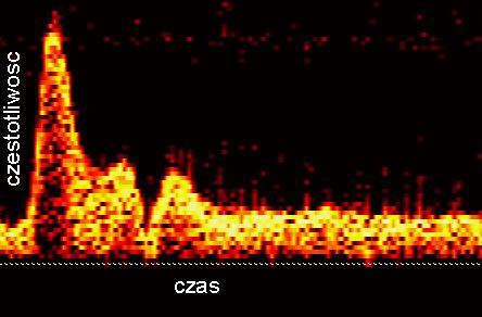 2 t Q + D ( π / 2 t) = sin( ω+ t) Metoda ultradźwiękowa z emisją ciągłą CW