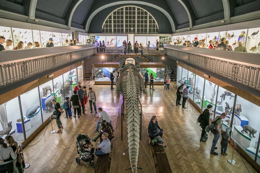 przyrządów astronomicznych i symboli władzy rektorskiej MUZEUM
