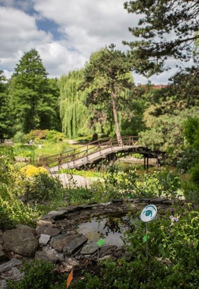 Ogród Botaniczny Stworzyliśmy miejsce, które jest