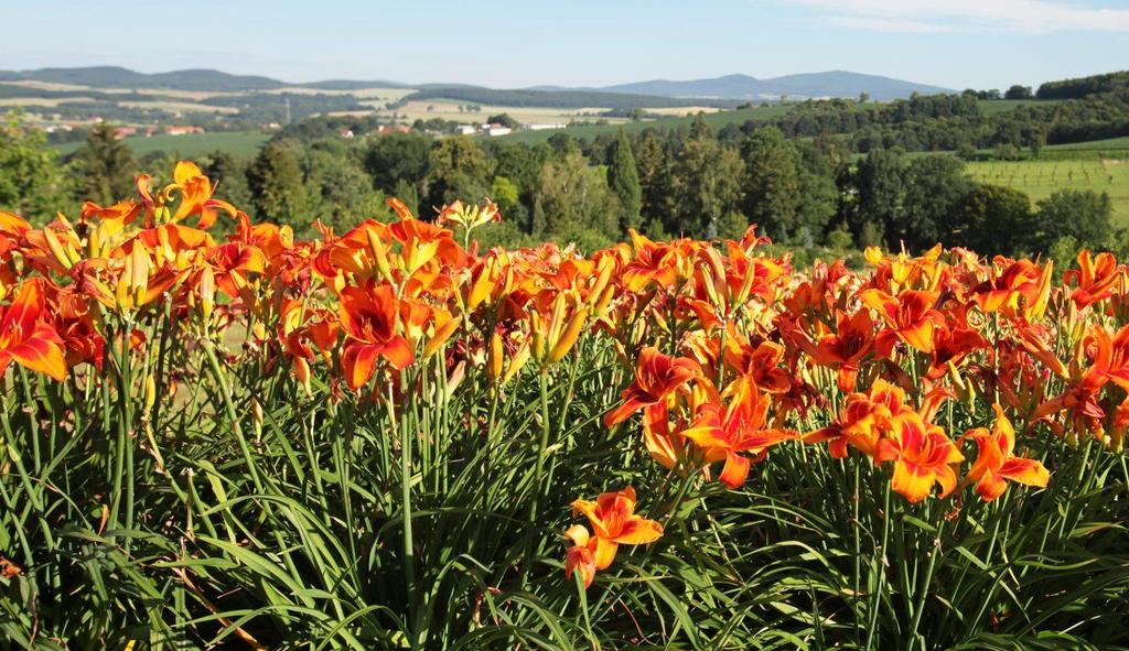 bagiennych Arboretum w Wojsławicach Hodujemy tu ponad