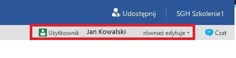 Gdy użytkownicy korzystać będą z wersji przeglądarkowej dostępny będzie również chat, w przypadku edycji w Wordzie stacjonarnym funkcję czatu pełnić będzie Skype (patrz punkt 10: Wspólna edycja w