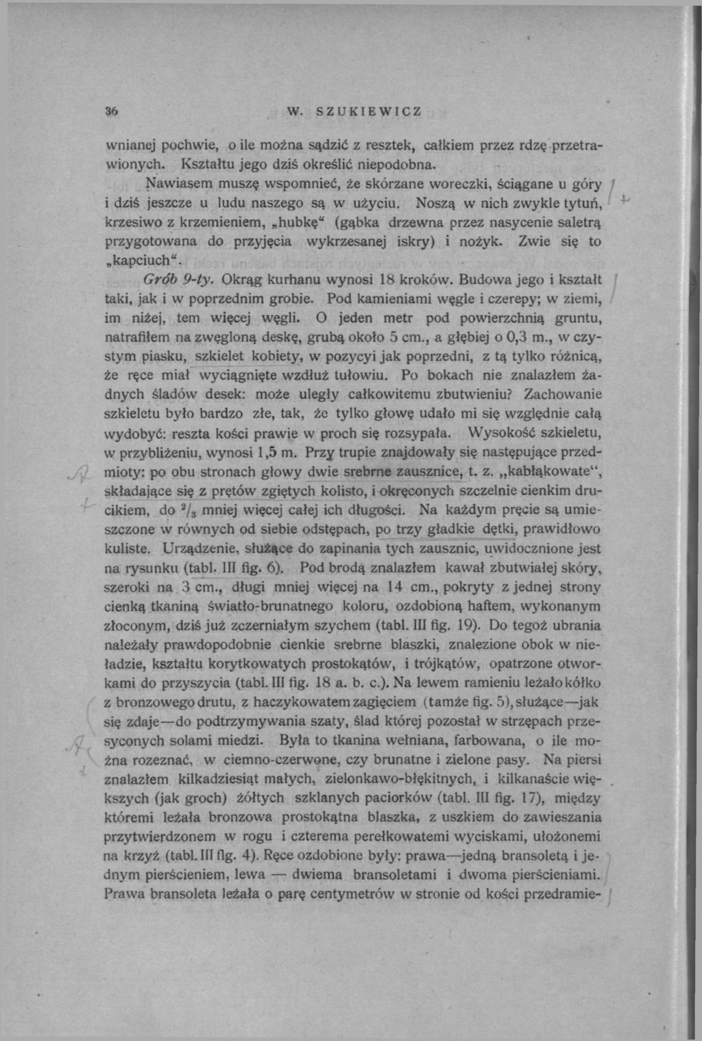 36 W. SZUKIEWICZ wnianej pochwie, o ile można sądzić z resztek, całkiem przez rdzę przetrawionych. Kształtu jego dziś określić niepodobna.
