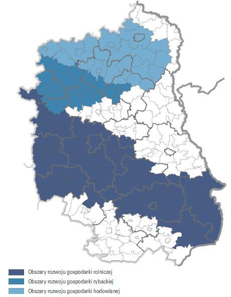 rolnych, wsparcie rozwoju grup producenckich, wsparcie rozwoju zakładów przetwórstwa, zakładów branży mięsnej i mleczarskiej, wsparcie rozwoju infrastruktury gospodarki rybackiej,