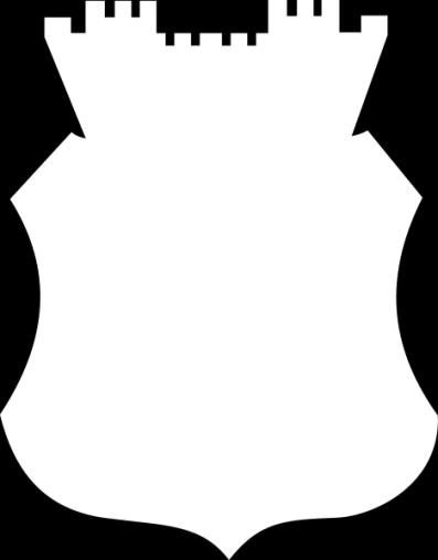 WYKONAWCA OPRACOWANIA