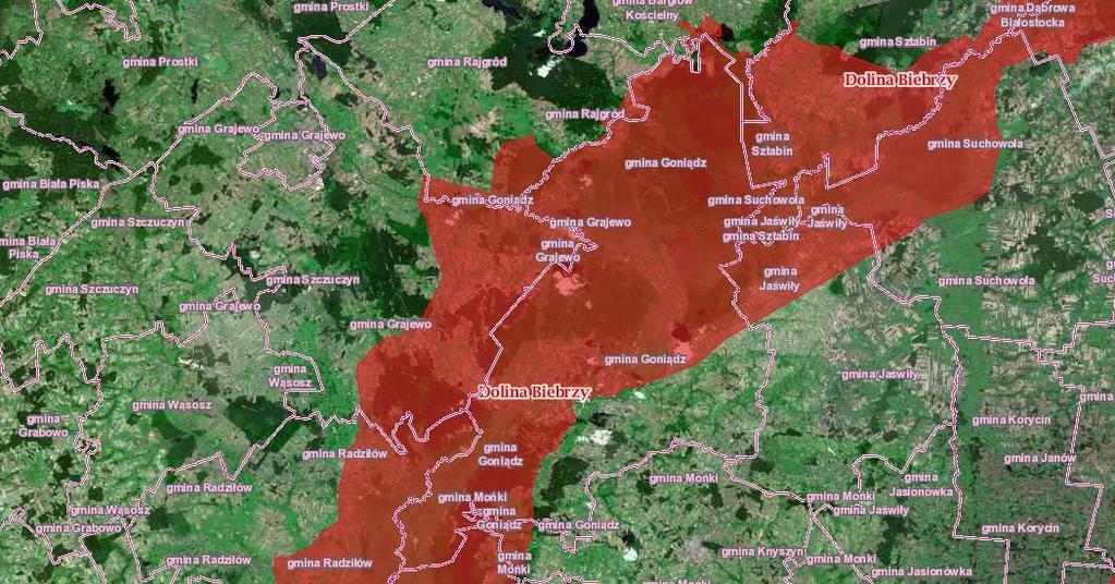 zbiorowiskami turzycowymi i turzycowo-mszystymi, corocznie zalewane wodami rzecznymi mułowiska i torfowiska porośnięte szuwarami właściwymi, bagienne olsy, okresowo zalewane przyrzeczne równiny