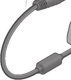 XPX (23.
