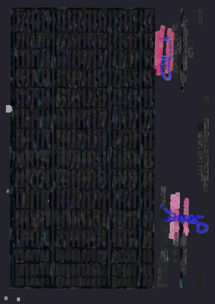 r' 1 2 3 4 5 6 756 75615 0320 40 237,60 756 75615 0330 40 00 45 943,00 756 75615 0340 15 00 20 474,70 756 75615 0500 2 00 38,00 756 75615 0640 30 127,60 756 75615 0910 1 00 1 025,27 756 75615 79721 1
