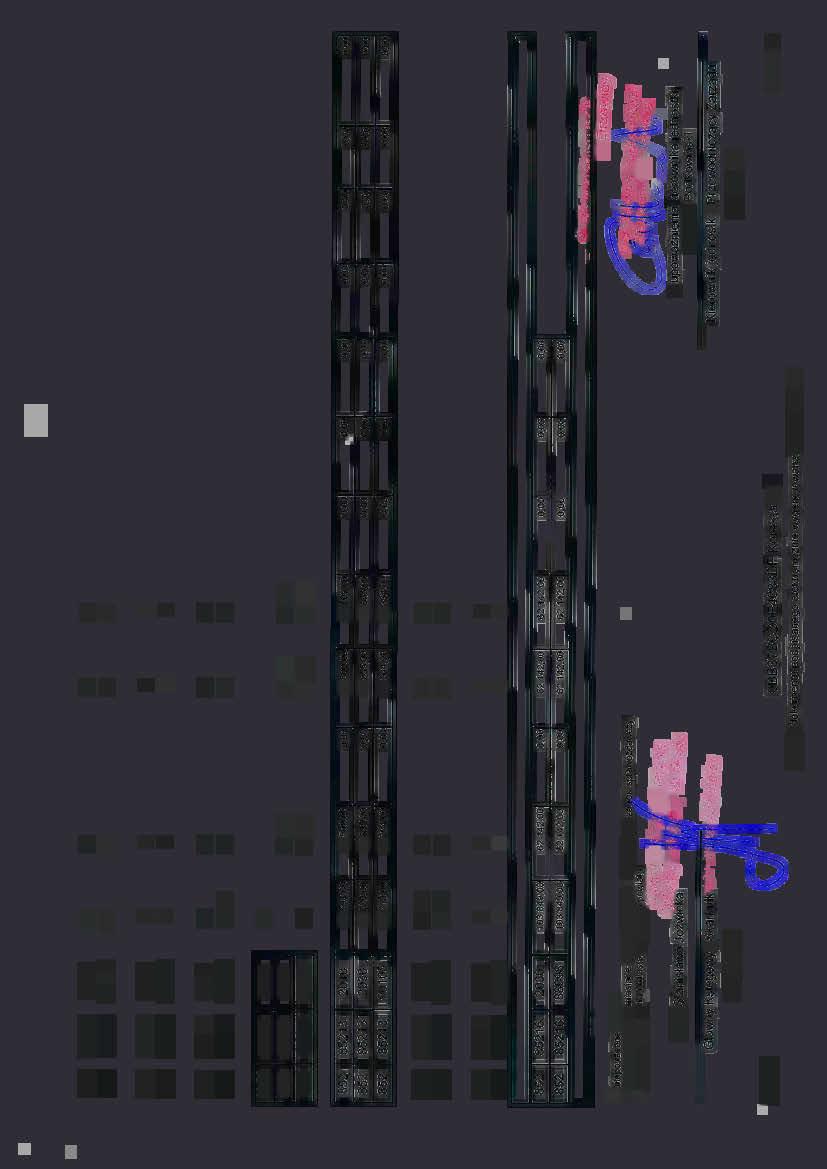 484,14 852 85202 87574 50 00 24484,14 24 484,1 4 24 484,14 852 85213 2010 28 593,00 16 509,00 16 509,00 16 509,00 852 85213 2030 31 62 12 855,00 12 855,00 12 855,00 852 85213 90105 60 213,00 29