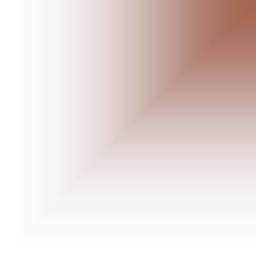 The Most Holy Body & Blood of Christ Page Nine Polish American Association Free Employment Services for Chicago and Cook County Residents ALL JOB SEEKERS ENROLL TODAY!
