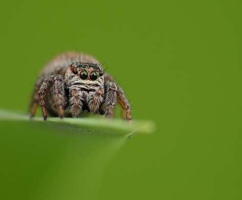 Fotografia dokumentacyjna Temat główny powinien być