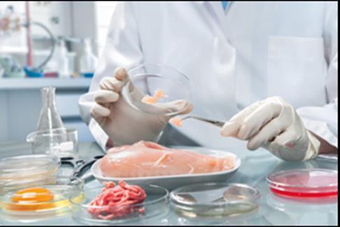 Wszystkie znajdujące się pod nadzorem PPIS zakłady posiadają opracowane i wdrożone zasady dobrej praktyki higienicznej (GHP), dobrej praktyki produkcyjnej (GMP), dobrej praktyki rolniczej (GAP), w