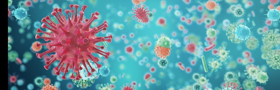 Sytuacja epidemiologiczna w zakresie chorób zakaźnych 1. Zakres prowadzonego nadzoru W 2018 r.
