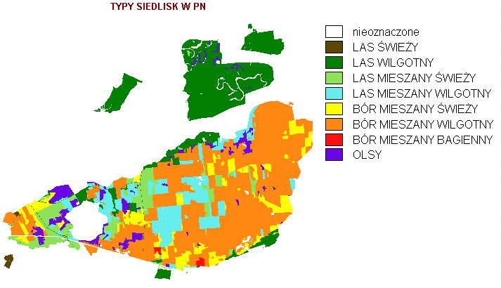 Świat indywidualistów Liczebność gatunku Gradient środowiskowy 10/26 Występowanie trzech gatunków