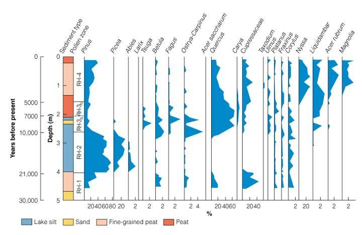 1 - Analiza pyłków roślinnych: ostatnie 30 tys. lat 13/26 Water content (% dwt) Skąd łaciatość zespołów?