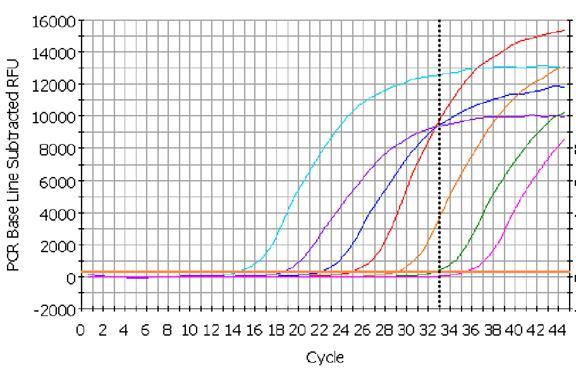 W metodzie qpcr wydajność amplifkacji obserwujemy poprzez pomiar fluorescencji Intensywność świecenia jest skorelowana z ilością degradowanego znacznika (sondy) a zatem ilością powstającego produktu