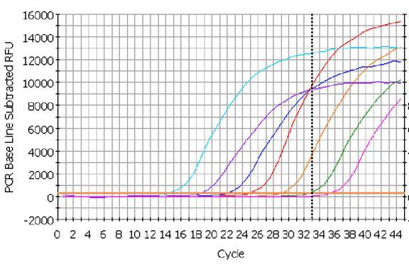 W metodzie qpcr wydajność amplifkacji obserwujemy poprzez pomiar fluorescencji Intensywność świecenia jest skorelowana z ilością degradowanego znacznika (sondy) a zatem ilością powstającego produktu