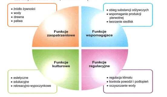 regulacyjne (ang. regulating) kontrola powodzi/podtopień, przeciwdziałanie zmianom klimatu i ich skutkom, oczyszczanie wody, kulturowe (ang.