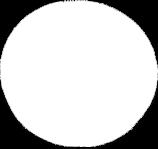 nr 4 i 6 d³ugoœci XL) oraz klucz. Przed u yciem wk³ady musz¹ byæ sterylizowane.