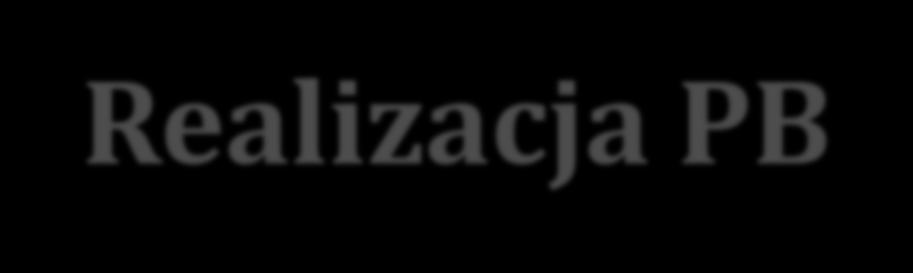 Realizacja PB 1. Audyt istniejących zasobów i zagrożeń. 2.