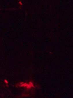 Jeśli początkowy kąt padania promienia lasera na granicę ośrodków woda powietrze jest większy od kąta granicznego, to w strumieniu wody powstanie światłowód.