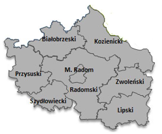 INKUBACJA I WSPARCIE EKONOMII SPOŁECZNEJ W SUBREGIONIE RADOMSKIM Mazowiecki Ośrodek Wsparcia Ekonomii Społecznej (mowes) Prowadzony przez Fundację Fundusz Współpracy Posiada akredytację Ministerstwa,