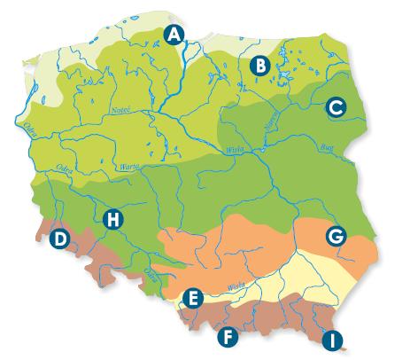 Zadanie 31. (0-1p.) Na podstawie opisu rozpoznaj region geograficzny. Zaznacz jego nazwę spośród wymienionych. Stanowi obniżenie między dwoma wyżynami. Bogactwem regionu są znaczne pokłady gipsu.