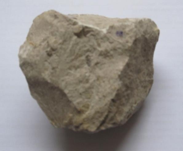 A) Wapień B) Sól kamienna C) Glina D) Siarka B. Powstaje z nagromadzenia się szczątków małż, ślimaków, koralowców. Zbudowana jest z kalcytu.