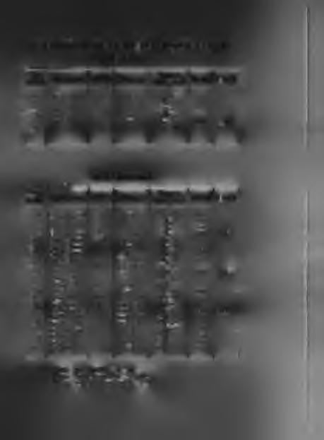WYSOKOLOTNY BUDAPESZTANSKI (EE 847) Sędzia: R yszard Kot llwagi 698 Kurcoń M 1 0 biała M 206 93 699 Kurcoń M l 0 biała M 204 94 700 Kurcoń M 0 1 biała AF 36 93 701 Kurcoń M 0 1 biała M 205 93 702