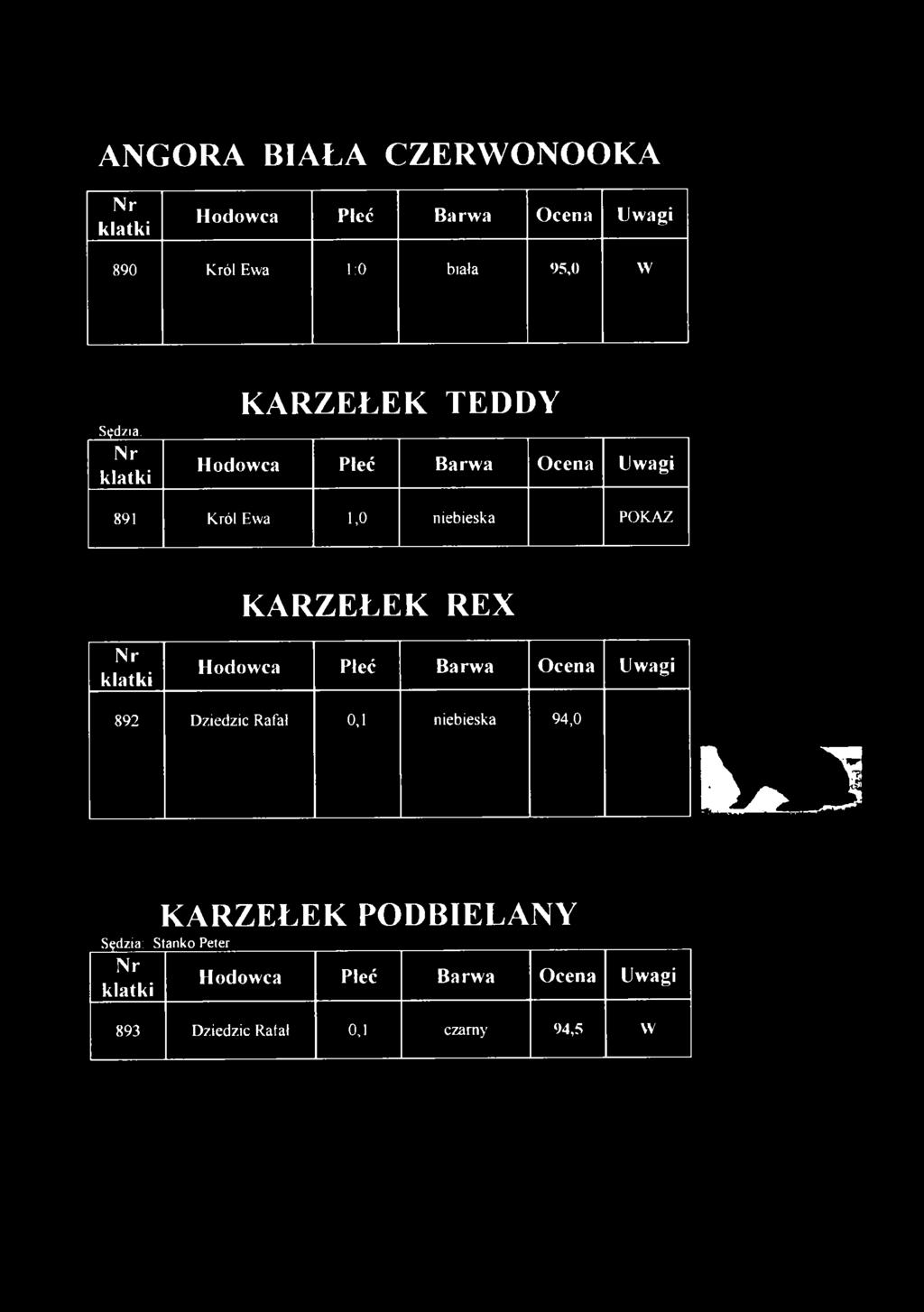KARZEŁEK REX 892 Dziedzic Rafa!